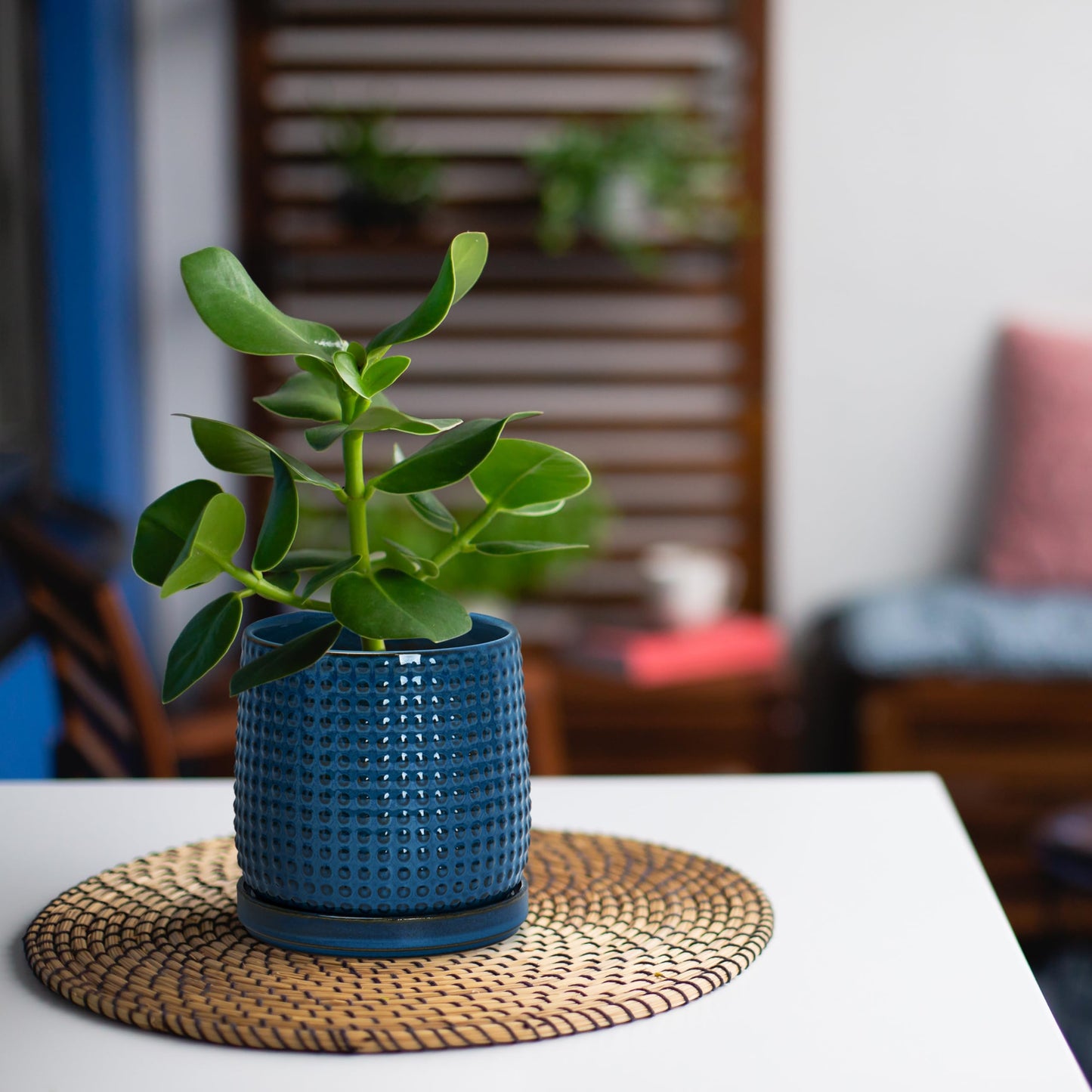 D'vine Dev Set of 2 Ceramic Plants Pots, 4 Inch Beaded Stoneware Flower Pot for Plants with Drainage Hole and Saucer, Midnight Blue, 27-E-Z-3