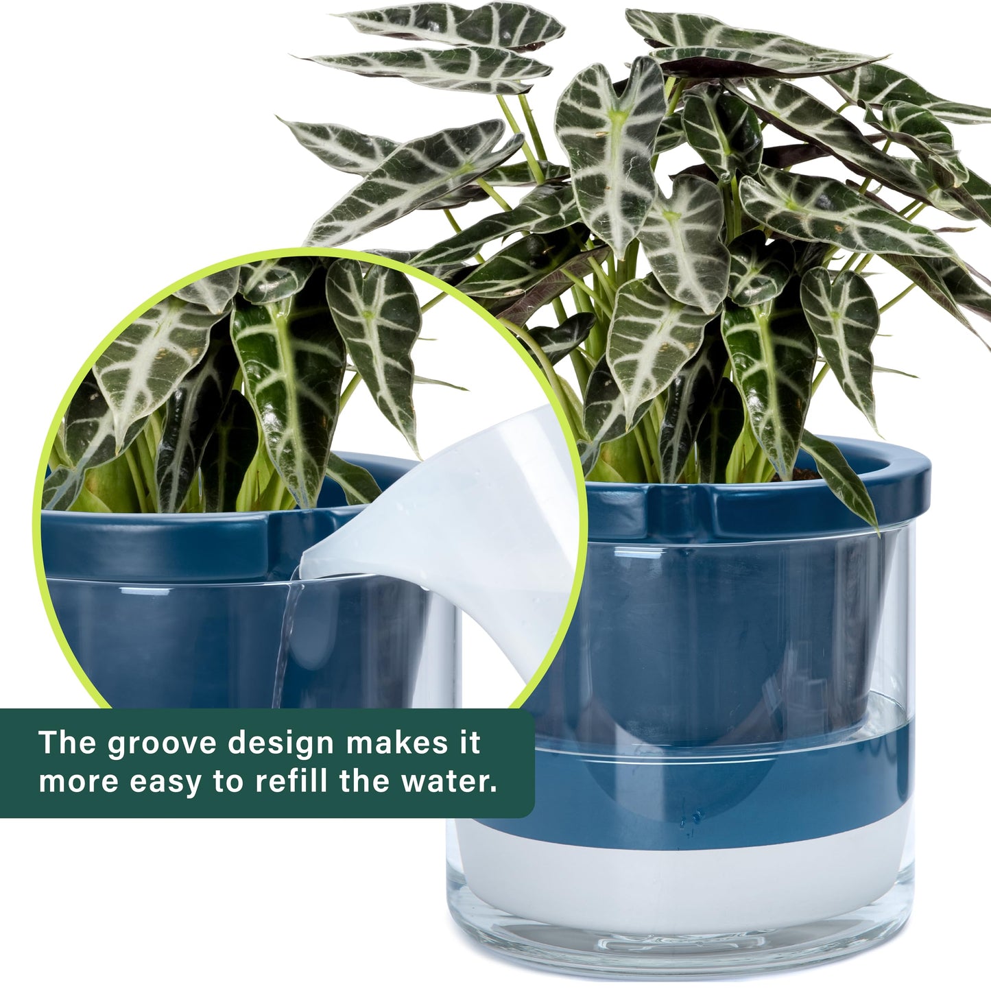 D'vine Dev 10 Inch Design Self Watering Planter for Indoor Plants, Blue Terracotta Pot with Cylinder Glass Cup, 37-X-D-4