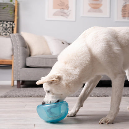 Outward Hound by Planet Dog Snoop Durable Interactive Treat Dispensing Dog Toy, Large, Blue