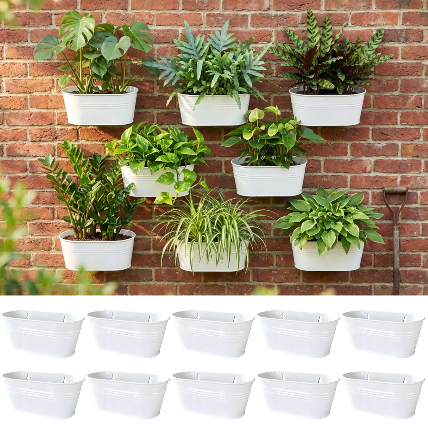 LaLaGreen Wall Planter (9.8 Inch, 10 Pack) White Oval Metal Hanging Decor Plant Holder Wall Planters for Indoor Plants Porch Plants Balcony Decoration Pot Baskets Pots Mounted Indoor Window Planters