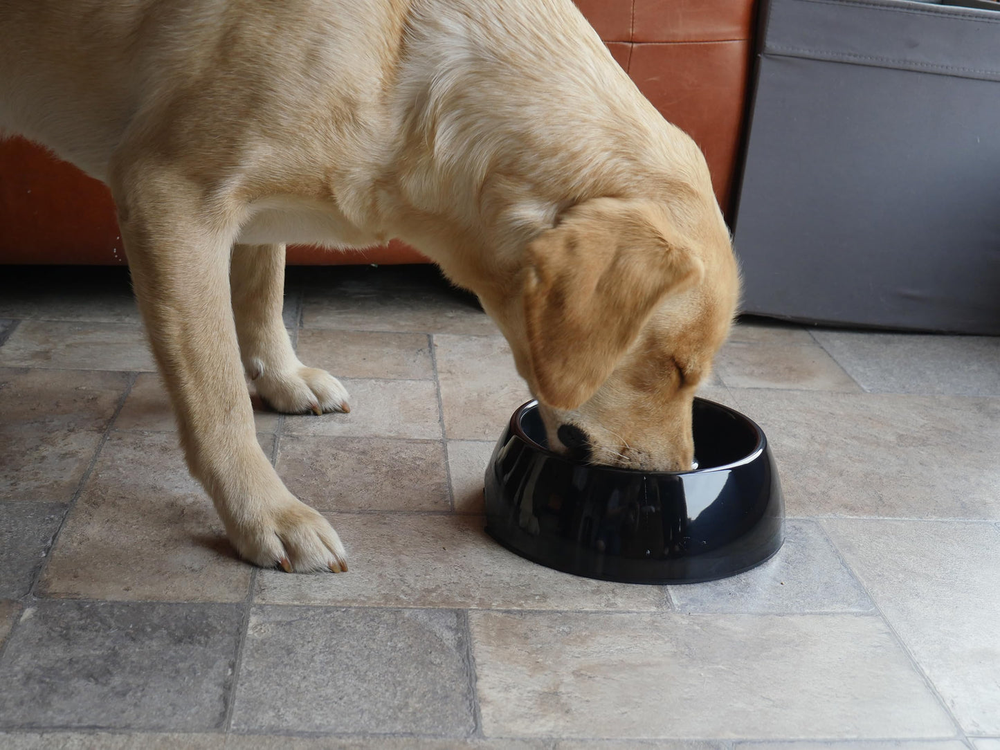 Rosewood Anti-Scoff Slow Feeder Dog Bowl – Large Heavy-Duty Melamine Food Bowl for Medium to Large Breeds – Aids Digestion & Reduces Gulping – Slip-Resistant, Durable & Easy to Clean – Black