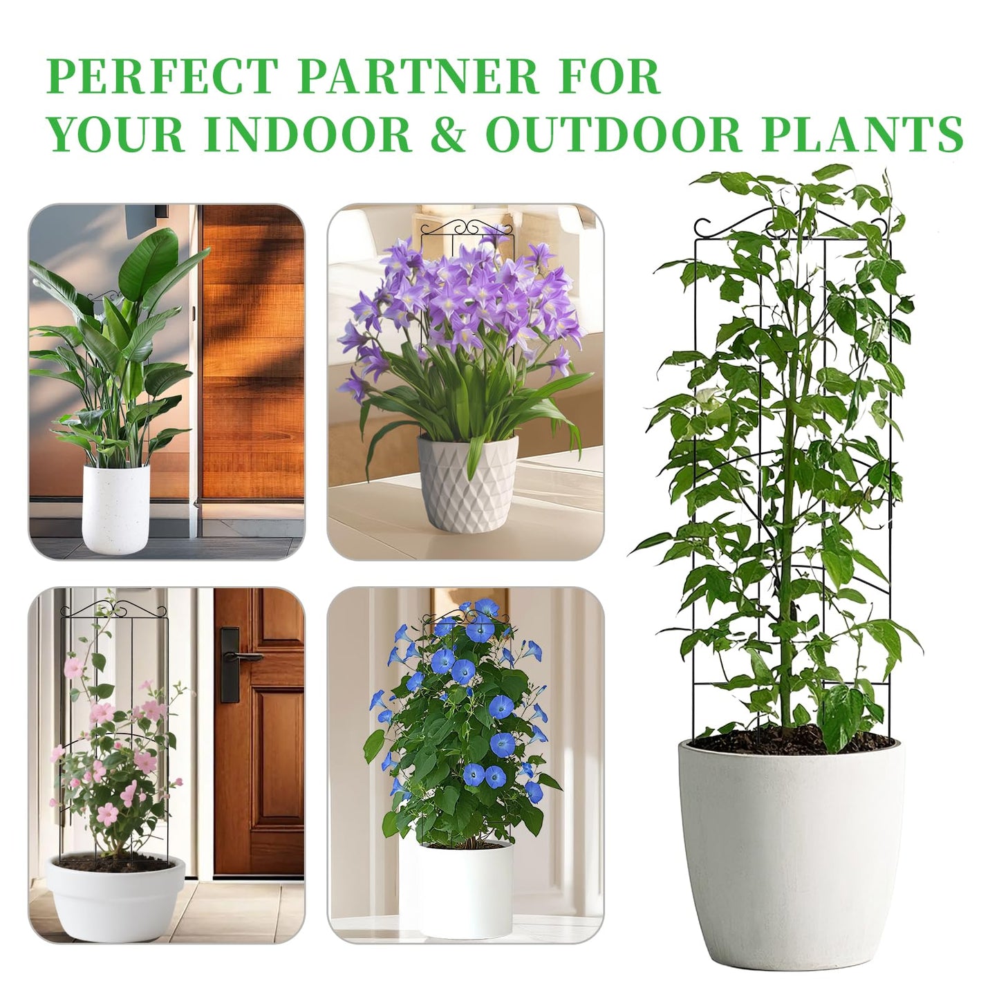 DYBEEDUAL 32 Inch Metal Plant Trellis for Climbing Plants Outdoor，4 Pack Garden Trellis for Potted Climbing Plants Indoor Houseplants Flowers Vine Ivy,Black,Rectangle