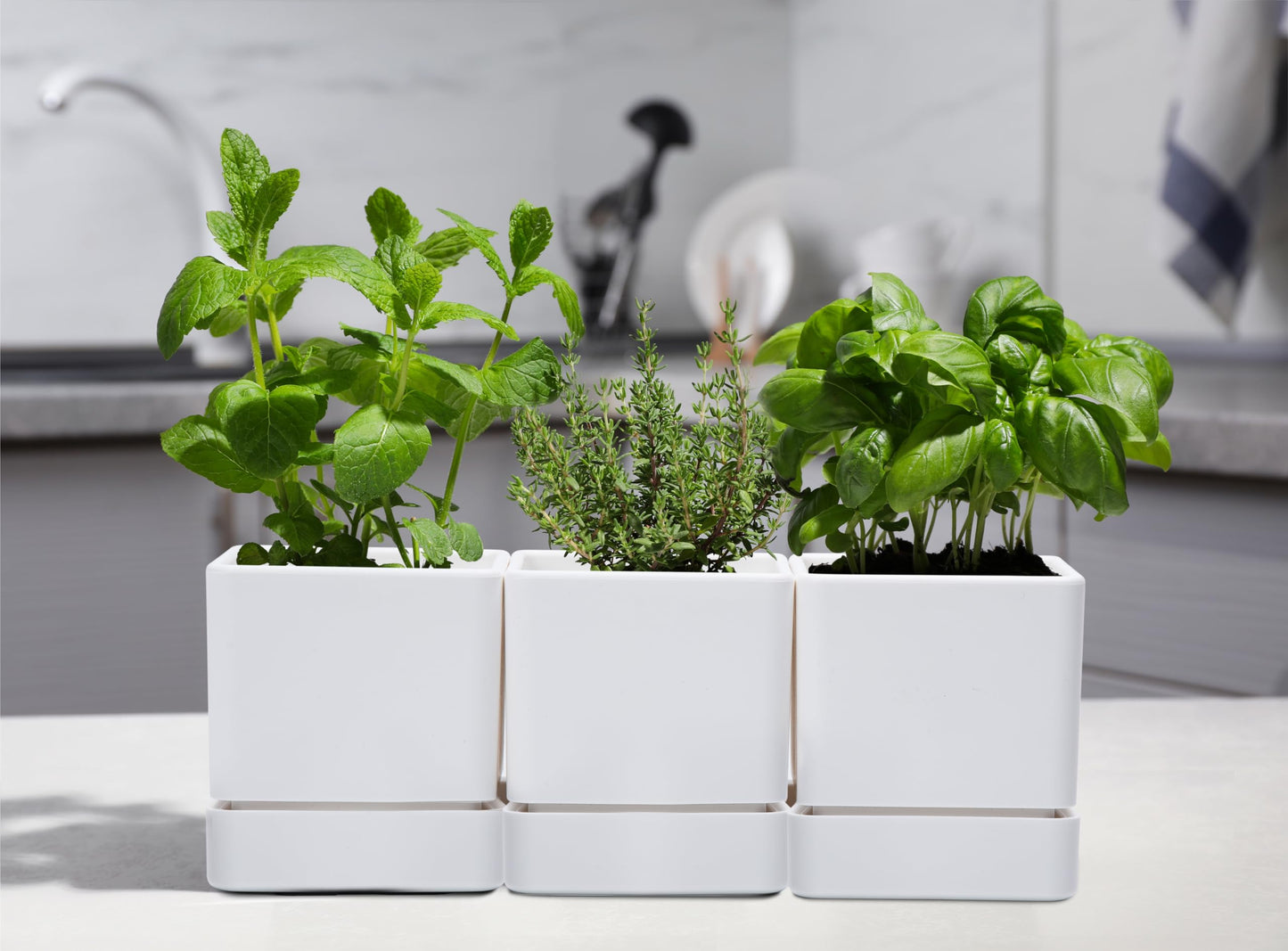 D'vine Dev 4 Inch Herb Planter Pot, Plastic Planter with Drainage Holes and Saucer, Modern Decorative Gardening Pot for Indoor Plants, Flowers, Herbs, Succulents, White, Set of 6, 76-Y-A6-1