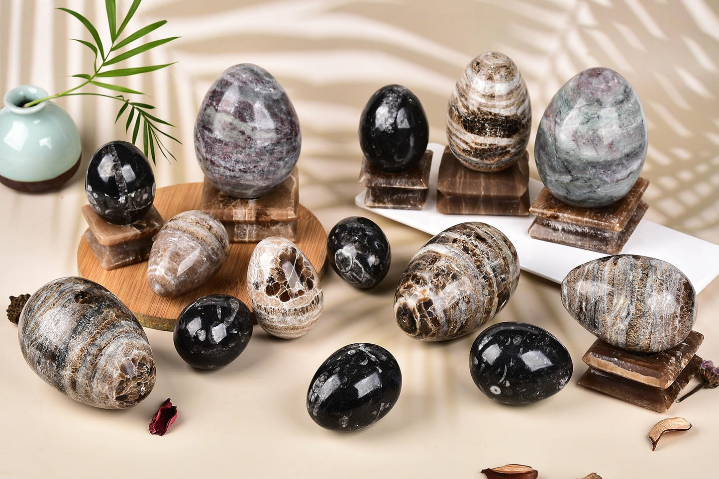 AMOYSTONE Orthoceras Stone Egg Black with Natural Stone Base for Healing Reiki Home Decors Medium, Single Height 2.5-3"