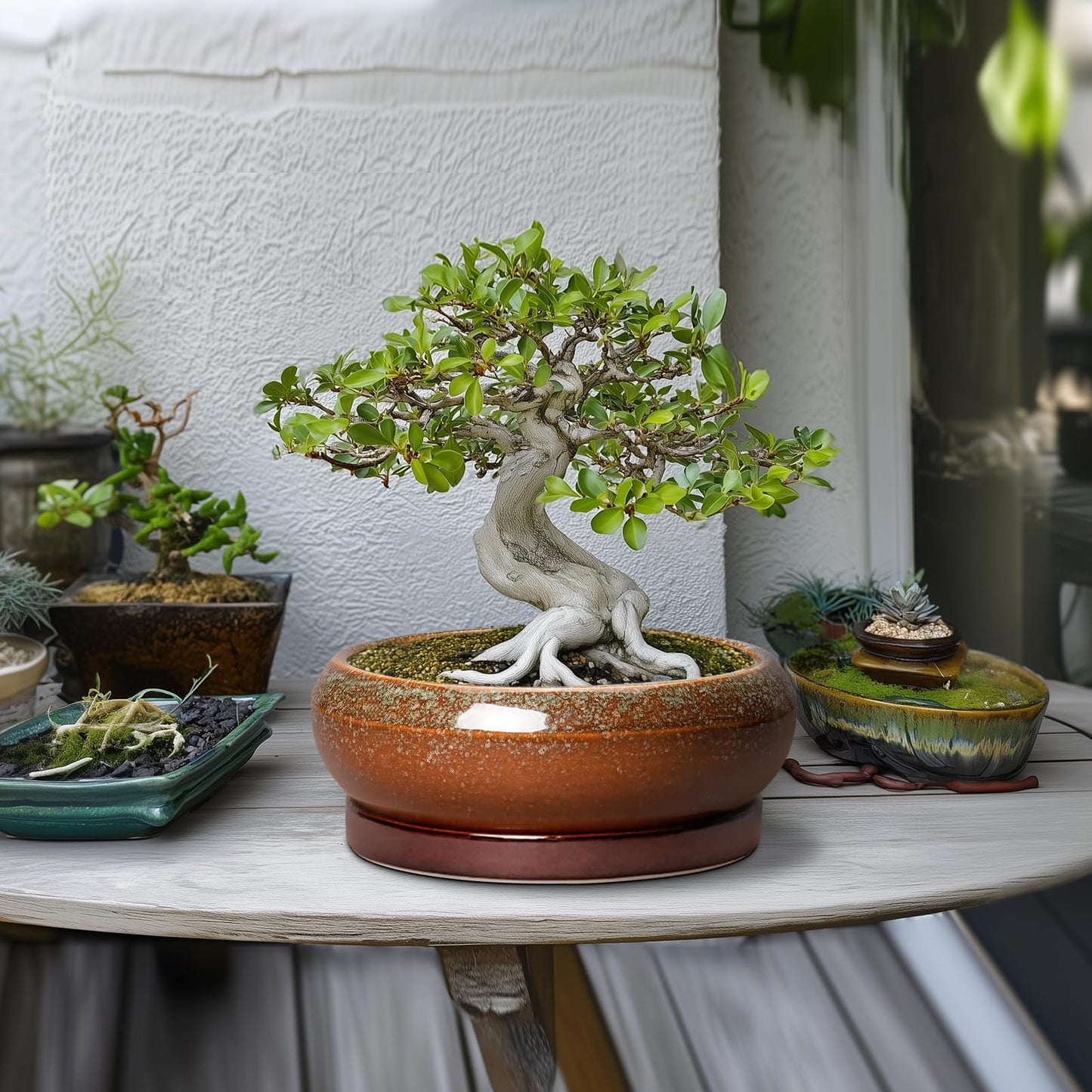 EPFamily Bonsai Pots - 10 Inch Ceramic Succulent Pots with Drainage Hole and Saucer, Bonsai Planter for Indoor Outdoor, Large Shallow Planter Bowl, Office Decor, Gifts for Plant Lovers, Retro Brown