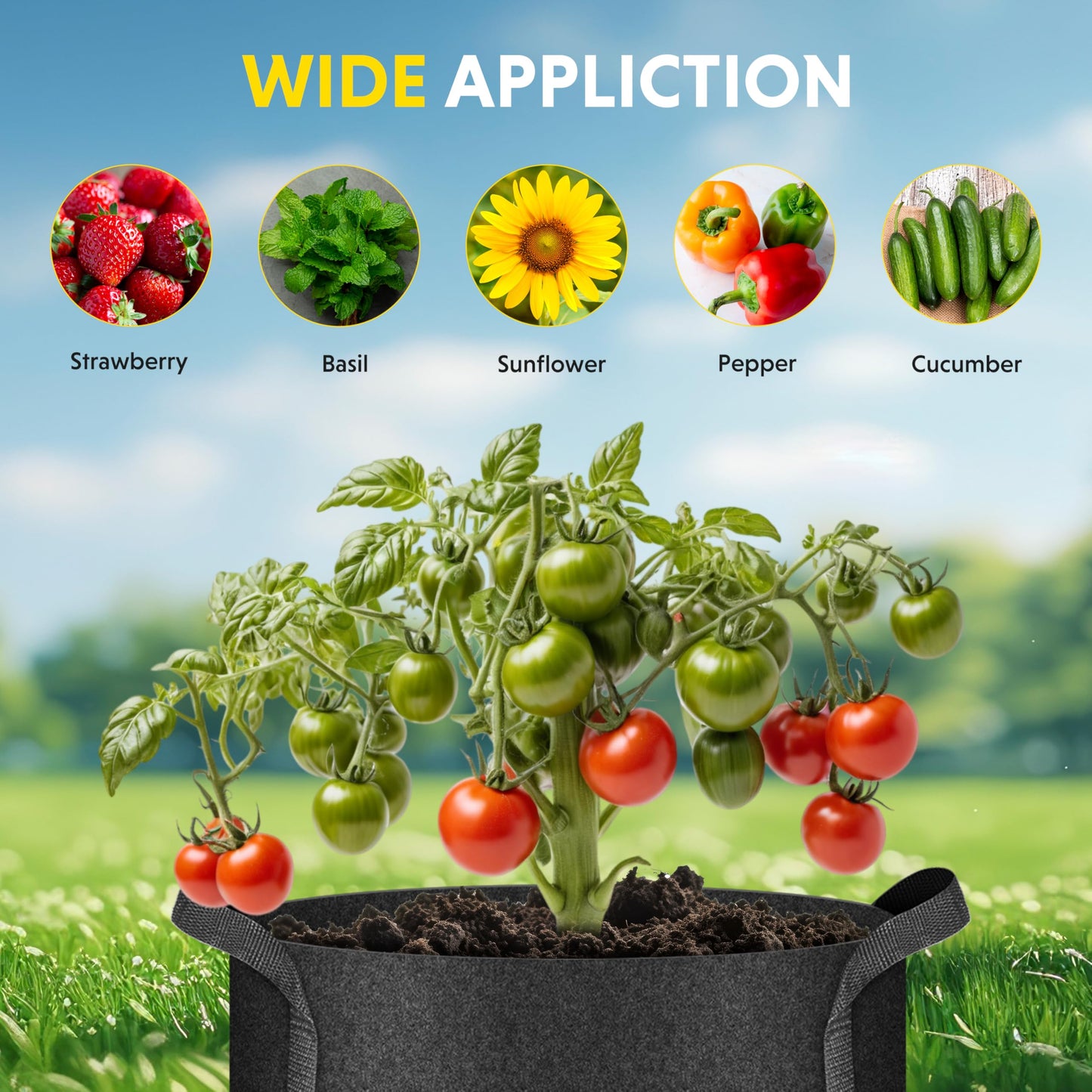 iPower 10-Pack 10-Gallon Grow Bags Nonwoven Fabric Pots Aeration Container with Strap Handles for Garden and Planting, 10 Gallon, Black