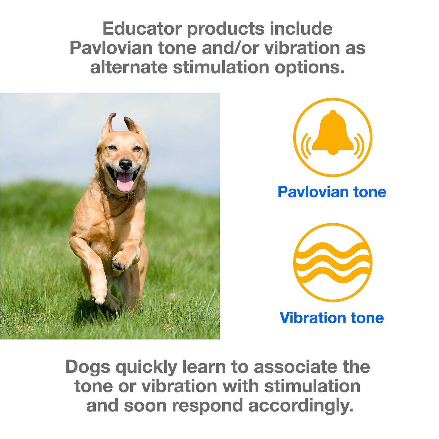 Educator EZ 1/2 Mile Dog Training Collar with Ergonomic Remote, Safe Humane Vibration Stimulation, Pavlovian Tone, Waterproof, Odorproof Biothane Collar, Night Light, Rechargeable, 2 Dog, Yellow