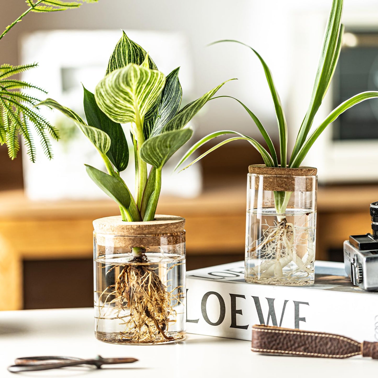 Glass Plant Propagation Stations for Plants – Set of 4(2 Large & 2 Small) Hydroponic Vases for Plant Cuttings,Flower Arrangements, Home & Office Decor–Desktop Vases for Living Room, Bedroom (4)