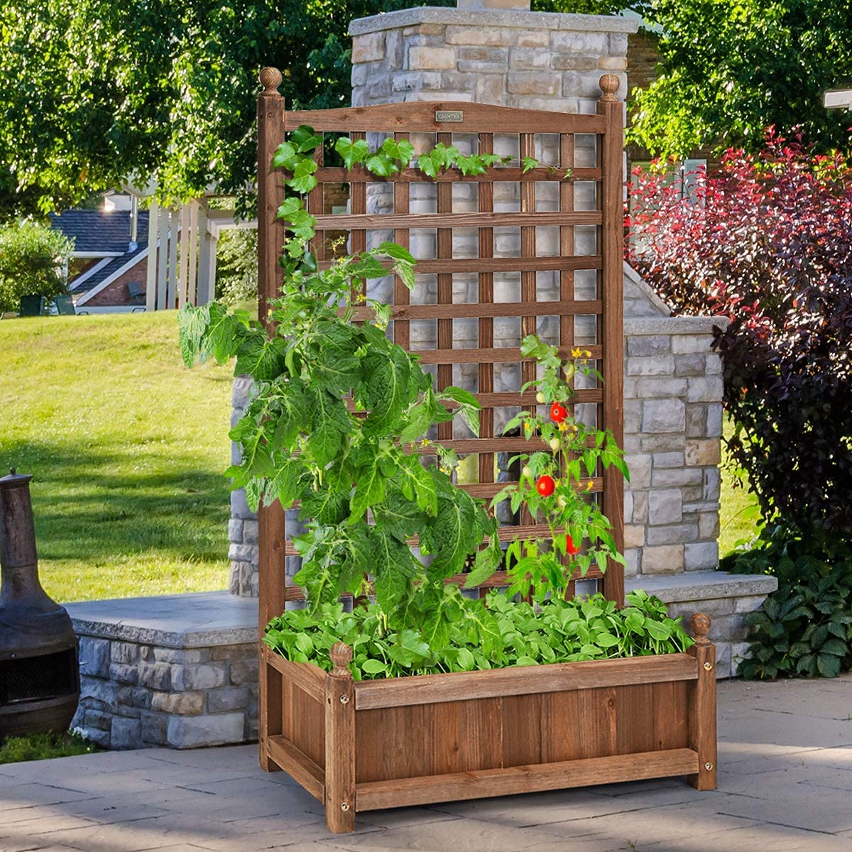 GRAFFY Wood Planter Raised Bed with Trellis, Outdoor Raised Garden Bed, Planter Box for Climbing Plants w/Drainage Holes, Free-Standing Raised Planter for Patio Garden Yard