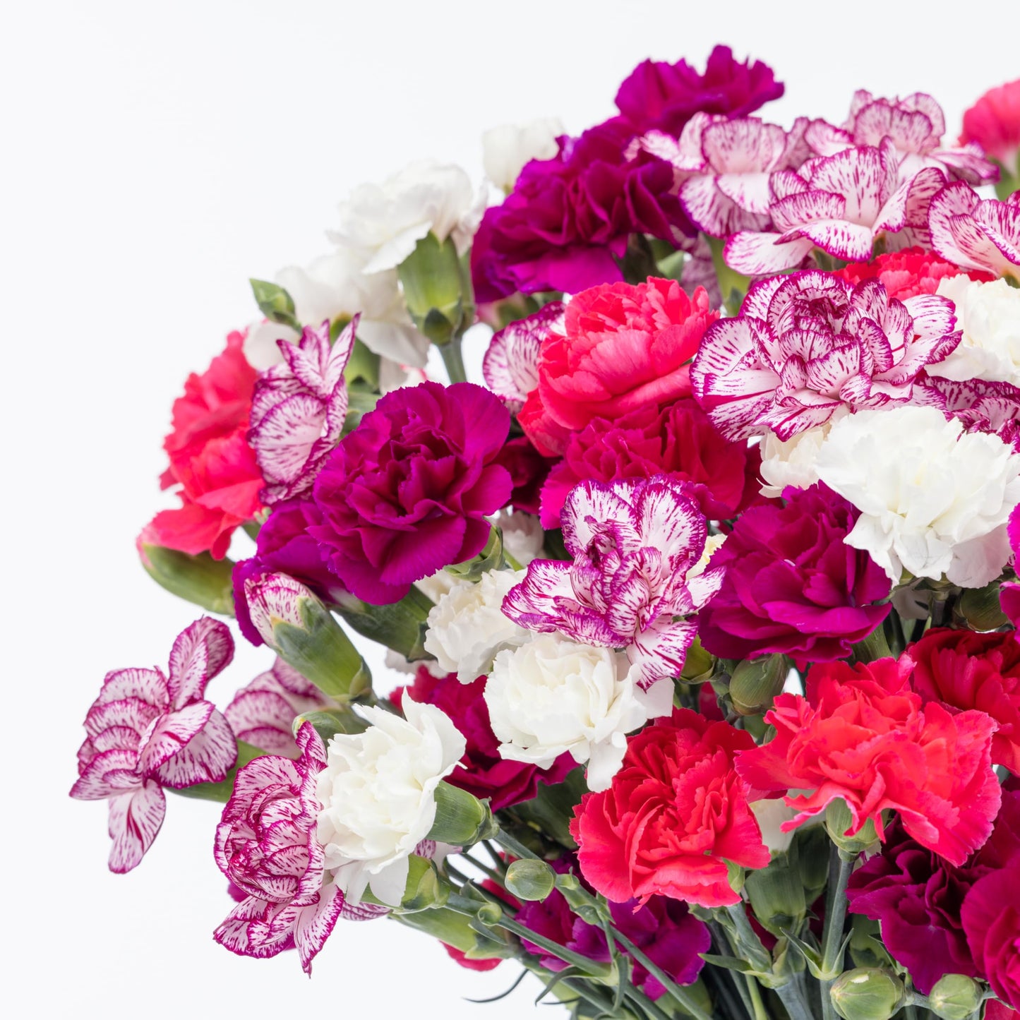 Benchmark Bouquets - Spring Mini Carnations - Fresh Flowers for Delivery - Mini Flowers for Mom - Mothers Day Gifts - Mothers Day Flowers - Floral Arrangements - Glass Vase Included (20 Stems)