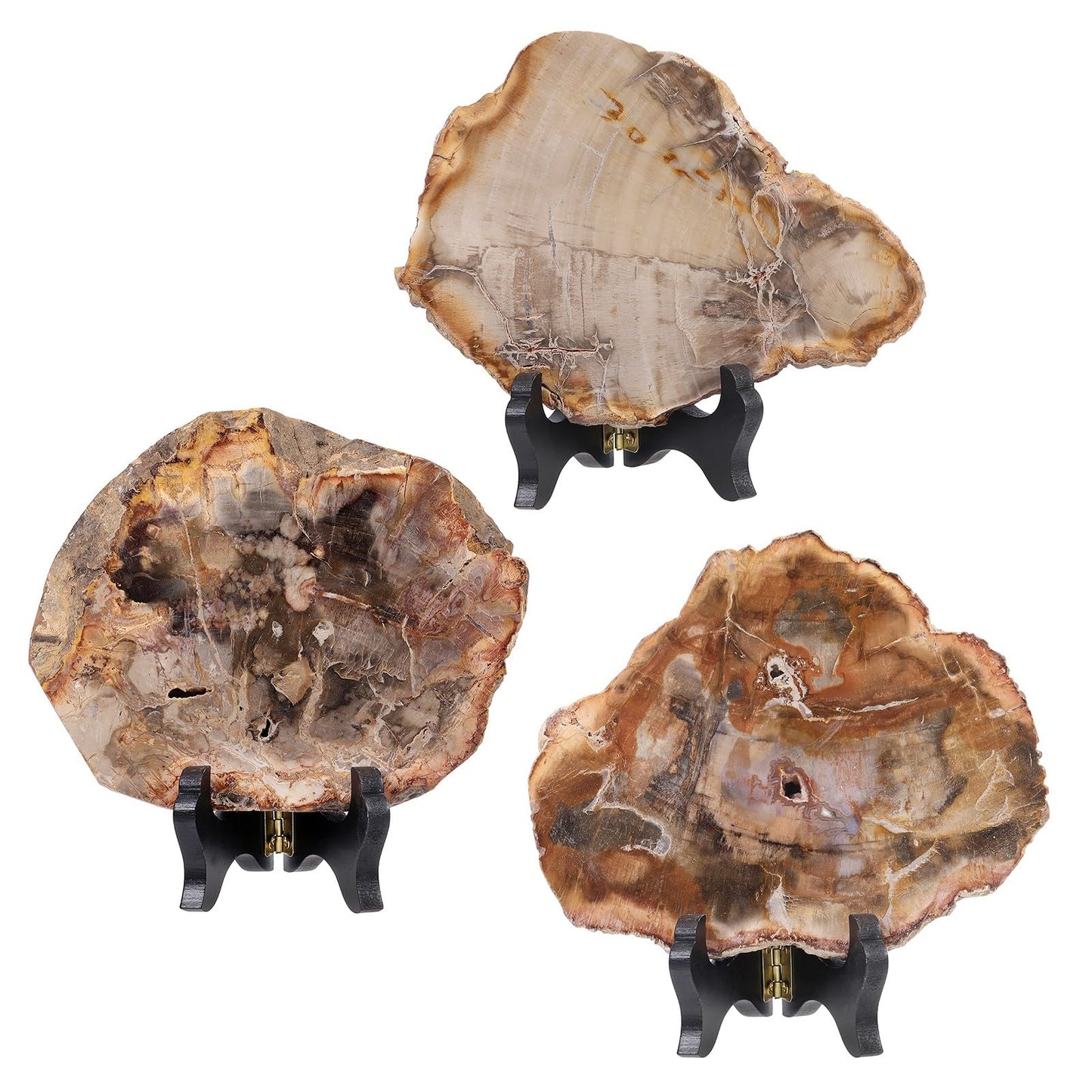 moonsix Irregular Petrified Wood Slab with Wooden Stand, Natural Mineral Stone Specimen Display for Feng Shui Decor Collection
