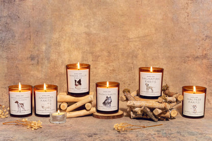 Border Collie Gifts & Decor, Dog Mom Gifts for Women, Smells Like Border Collie Farts Candle - Lavender & Eucalyptus, Crafted by Natural Soy Wax & Natural Essential Oils