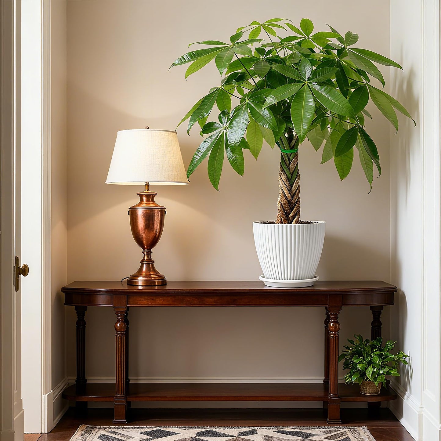 Sprout N Green 8-10" Money Tree with 5 Lucky Braid, Live Plant with White Stripe Pot, Decoration for Indoor Home Office Tabletop Windowsill Side Table, Housewarming Christmas Gift