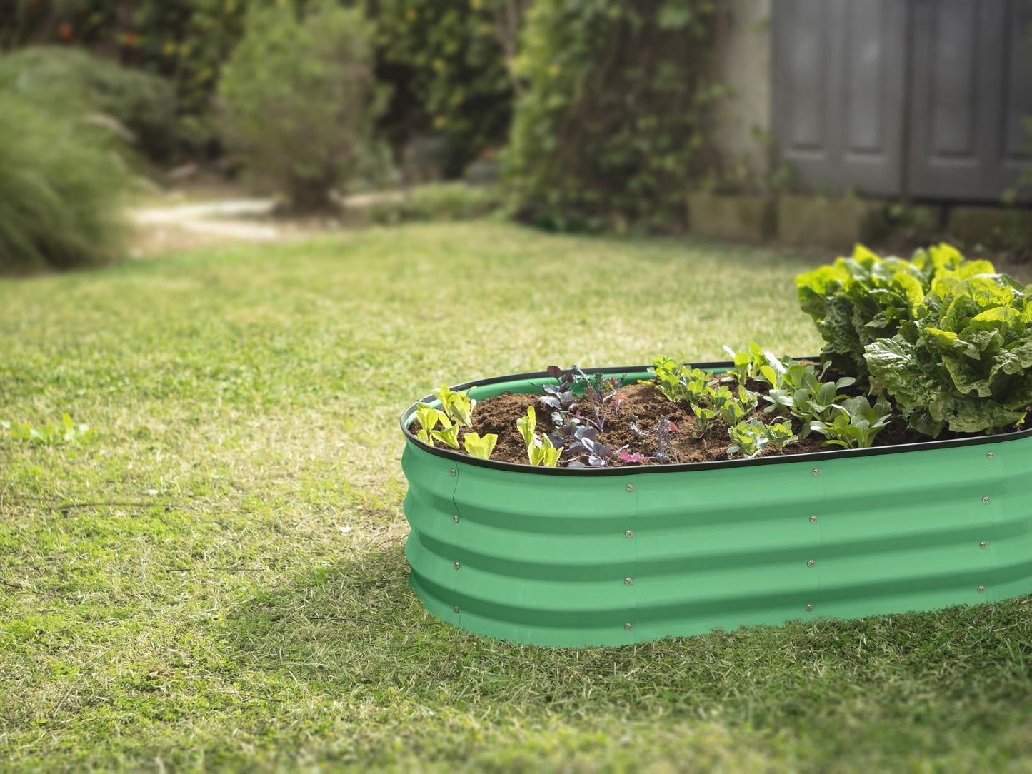 Plant & Plot Galvanized Raised Garden Beds Outdoor // 4×2×1 ft Planter Raised Beds for Gardening, Vegetables, Flowers (Light Green) // Large Metal Garden Box