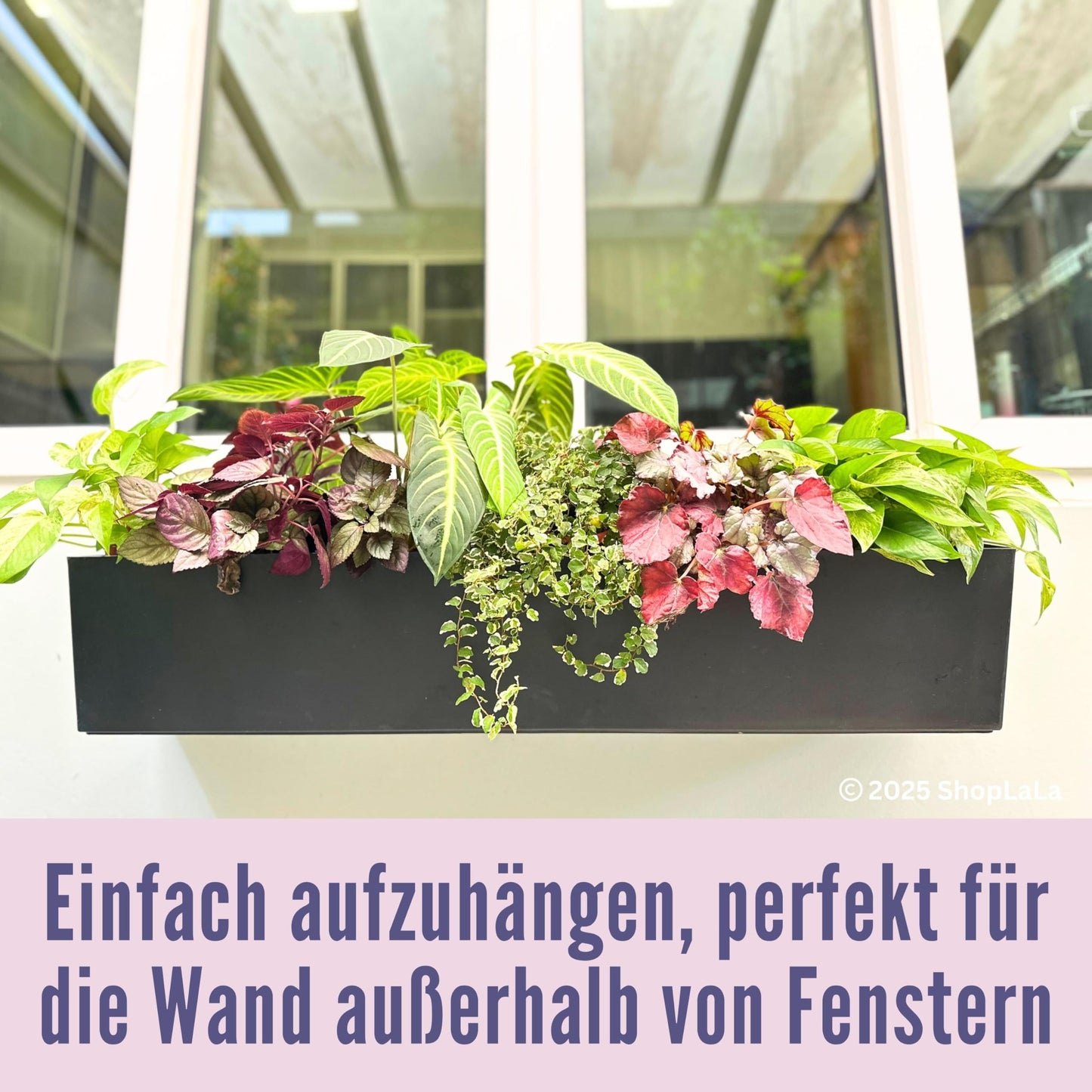 LaLaGreen Planter Boxes Outdoor (40 Inch, 1 Pack) Large Rectangular Self Watering System, Black Window Flower Boxes with Bracket Vertical Plant Container Wall Mount Indoor Succulent Herb Garden Home
