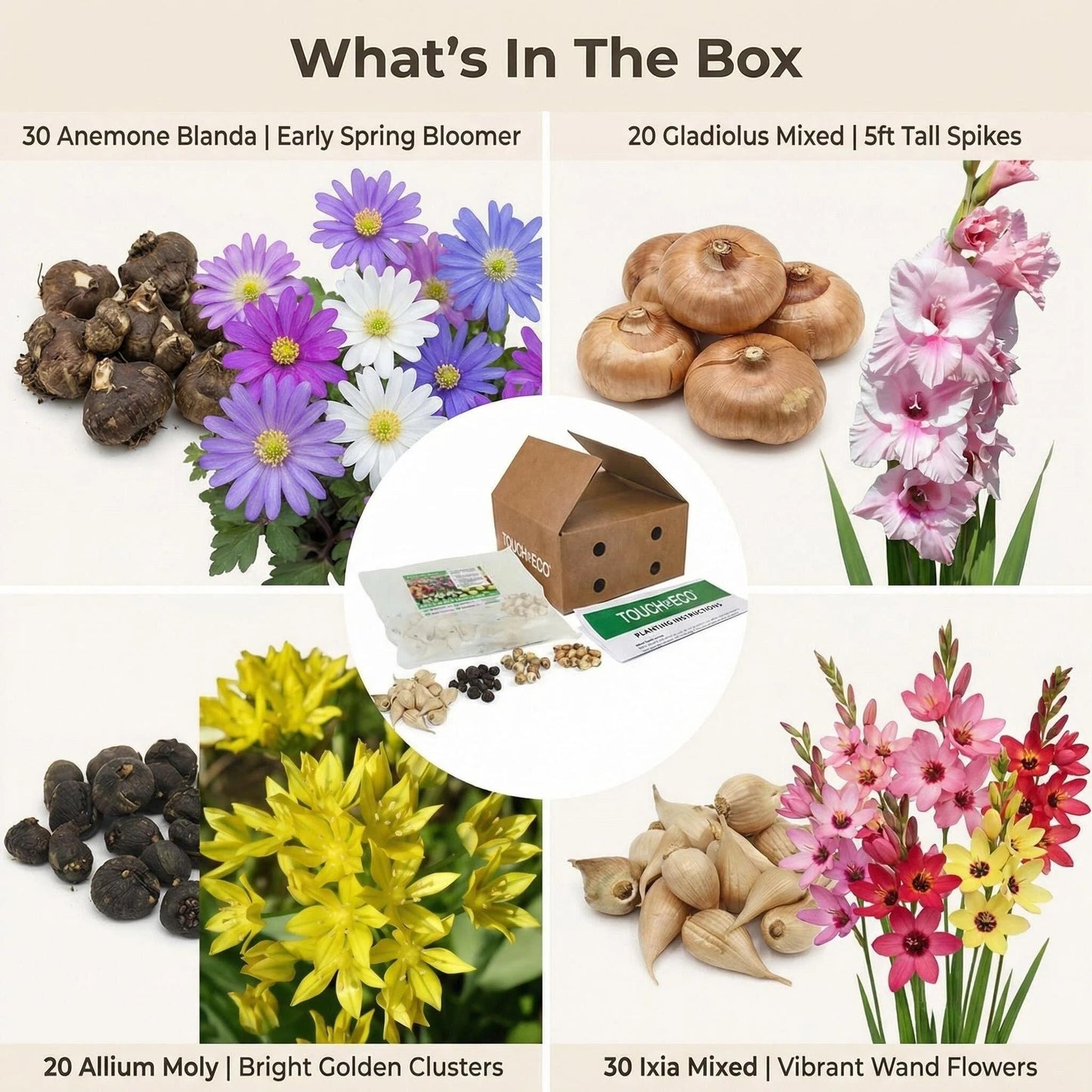 Premium Spring Flower Blub Collection100 Bulbs - Attracts Bees, Butterflies & Hummingbirds - Easy to Grow Perennials - 1000's Sold | Easy-Care | Perennials | Deer Resistant