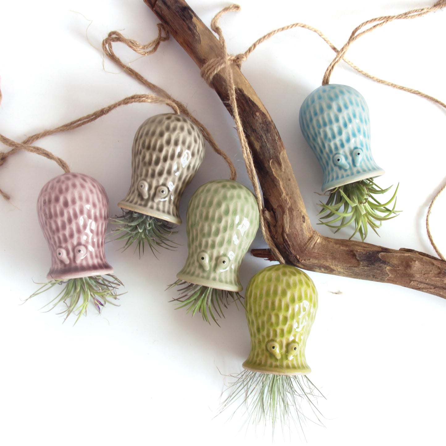 GNILINY Octopus Air Plant Holder - 5 Pack Resin Hanging Stand for Home Decor, Cute Hanger for Air Plants/Succulent, Octopus Decor for Living Room/Office