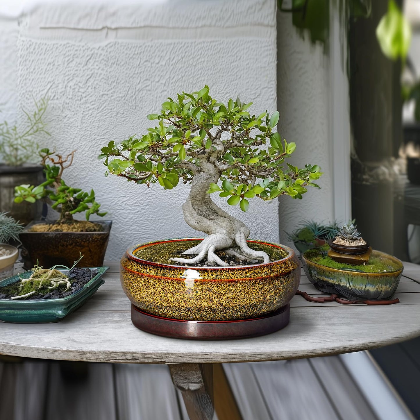EPFamily Bonsai Pots Ceramic - 10 Inch Succulent Planters Indoor Outdoor, Shallow Planter with Drainage Hole and Saucer, Round Planter Bowl, Succulent Pots, House Decor, Gifts for Plant Lover, Yellow