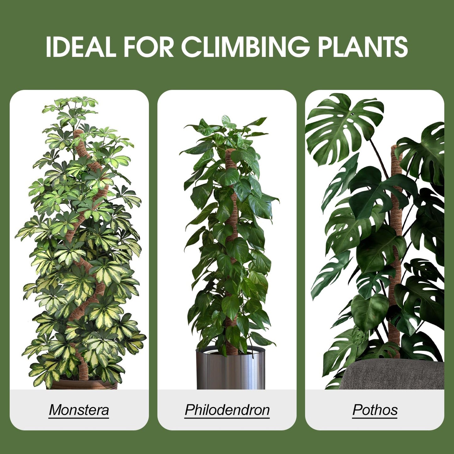 2 Pack Moss Pole, 63 Inch Bendable Moss Poles for Plants Monstera Long for Climbing Plants, Extra Large Handmade Pole Plant Sticks Support Stakes for Indoor Plants to Grow Upwards