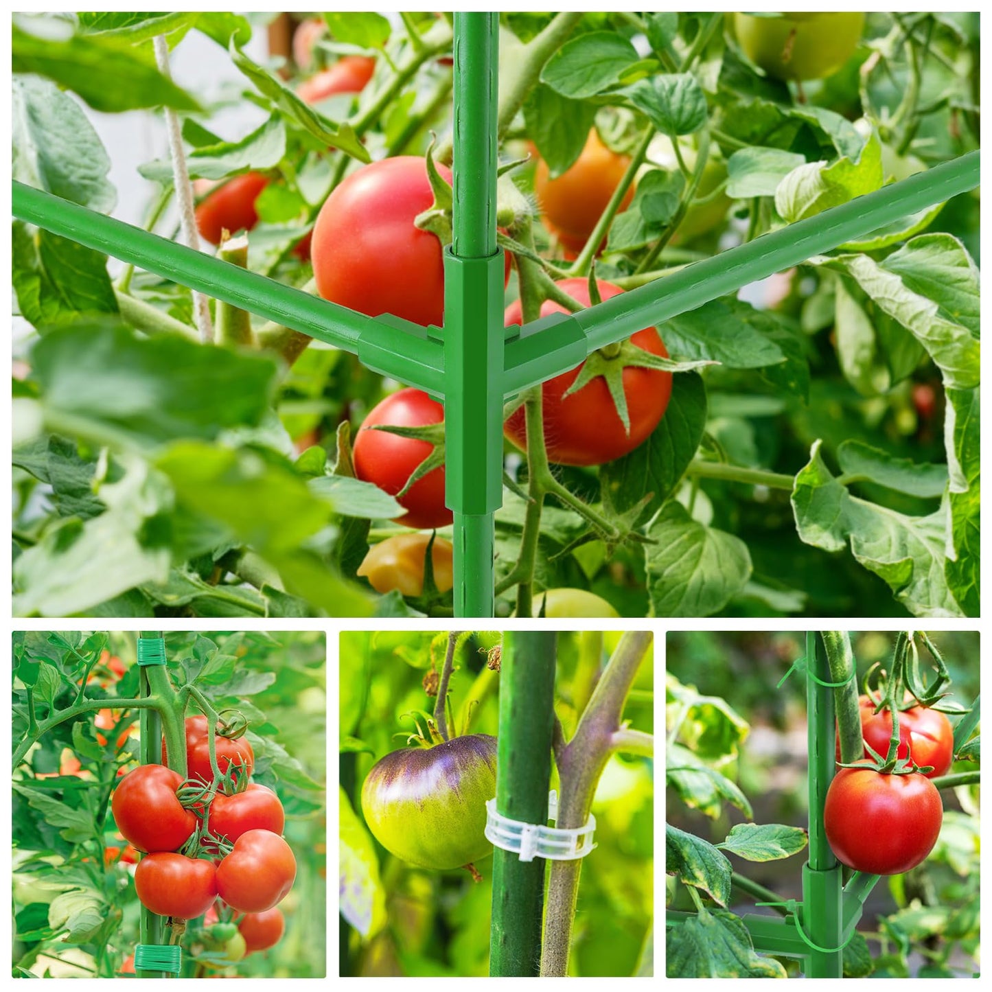 51x17x49 Inch Garden Tomato Cages with 46 Gallon Grow Bags, Square Plant Support Trellis Assembled with Planter Bags, Garden Cucumber Vegetables Frames for Vertical Climbing Plants