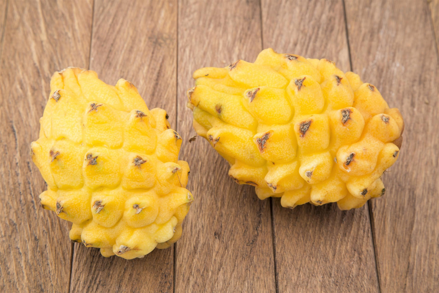 20 * Seeds * Yellow Dragon Fruit (Pitaya/Pitahaya/Strawberry Pear) Hylocereus Megalanthus Cactus White Flower