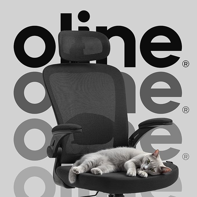Oline ErgoAir Ergonomic Office Chair – Adjustable Lumbar Support, Flip-Up