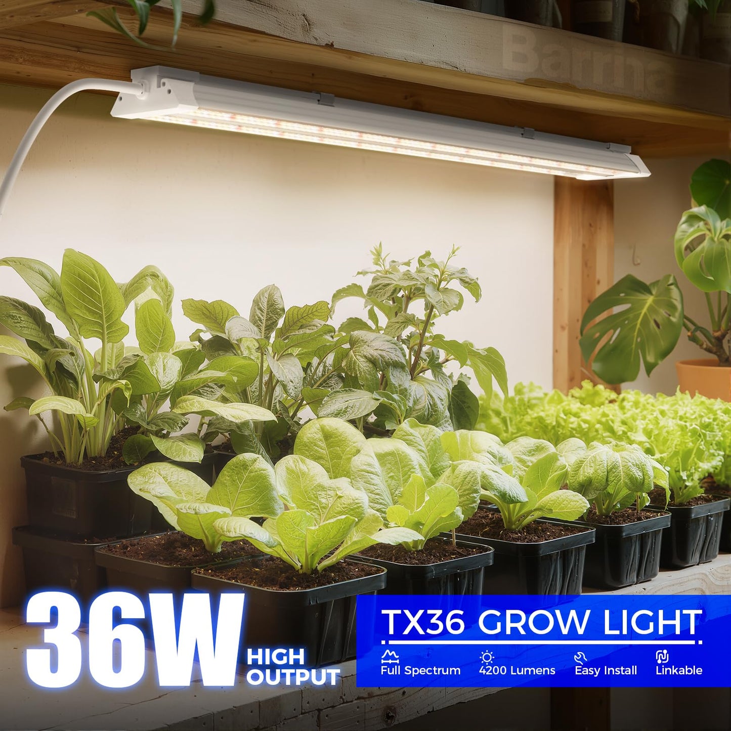 Barrina TX36 2FT LED Grow Light for Indoor Plants, 36W(200W Equivalent), High PPFD, Full Spectrum, Hanging Plant Lights for Indoor Growing, Seedlings, Vegetables, with On/Off Switch, Linkable, 1 Pack