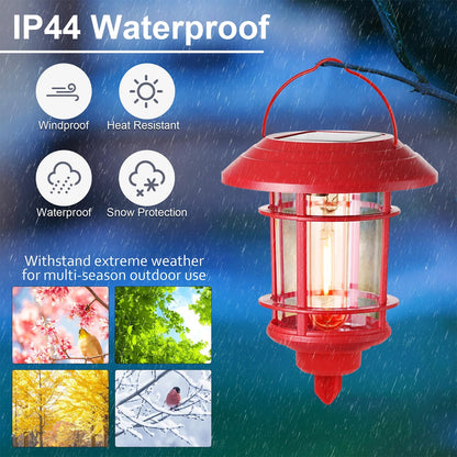 Dynaming 6 Pack Dual Use Solar Christmas Path Lights Outdoor, Hanging Lantern Solar Garden Light with Edison Bulb, Xmas Pathway Markers, Auto On/Off Candy Cane Lights for Patio Yard Walkway Driveway