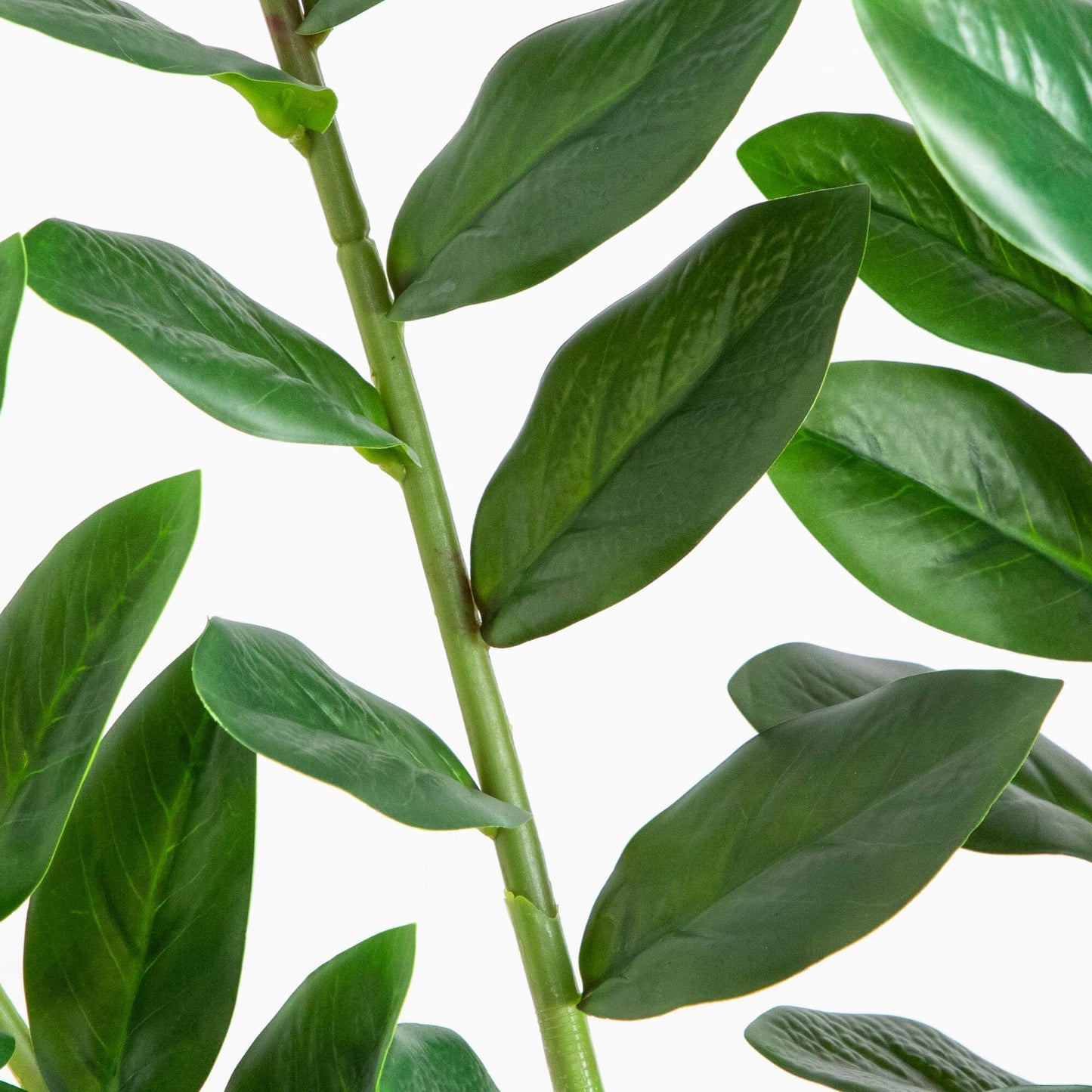 Nearly Natural 6ft Artificial Zamioculcas Plant - Realistic Faux Plant for Home Decor - Premium Materials - Bendable Branches - Year-Round Greenery - Nursery Planter Included