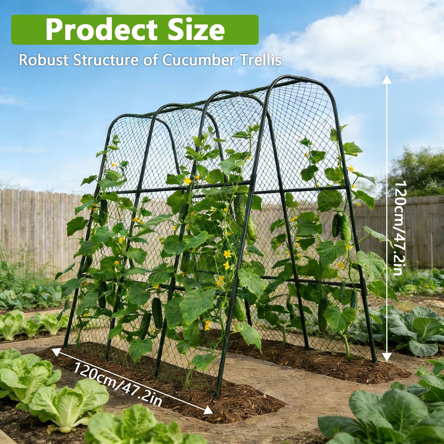 Garden Arch Trellis for Climbing Plants, Plastic-Coated Steel Trellis with Easy-Connect System, Includes Net, Ties & Gloves, Outdoor Plant Support for Vegetables (47.2" L x 47.2" H)