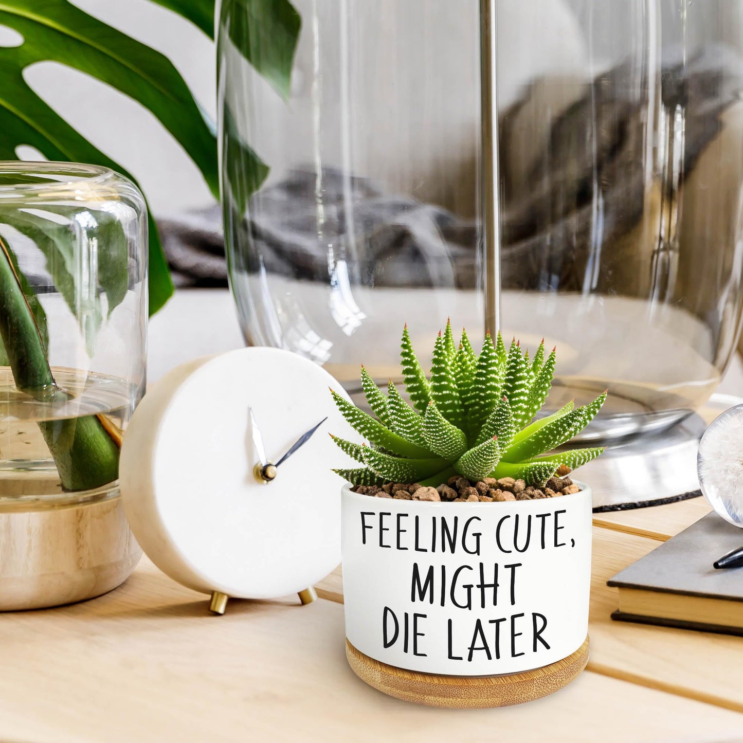 Bttwkco Funny Succulent Pots, Mini Succulent Planter Pots, Cute Planters for Succulents, Small Ceramic Cactus Pot with Drainage Hole, Plant Lover Gifts - Feeling Cute Might Die Later