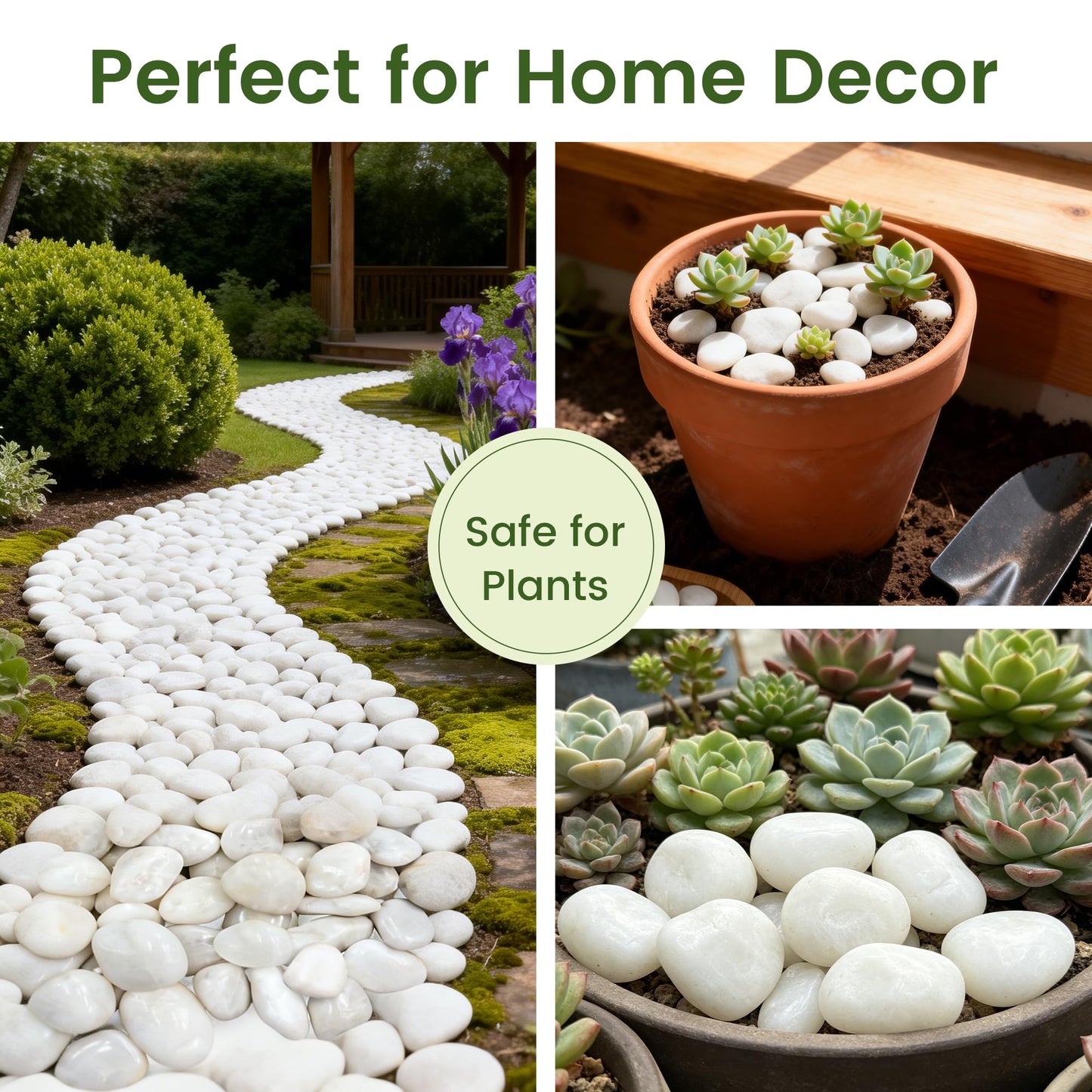 SIDONG 10 lbs White River Rocks, Polished Pebbles for Indoor Plants, 1-2 inch Decorative White Stones for Plants Vase Aquarium Fish Tank and Outdoor Garden Landscaping Rocks