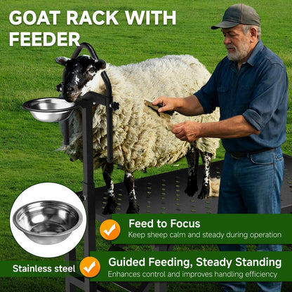 Professional Goat Milking Stand with Ramp, 600LBS Heavy Duty Foldable Livestock Trimming Platform, Metal Grooming Stand with Adjustable Headpiece & Stainless Steel Feeder for Nubian & Dwarf Goats