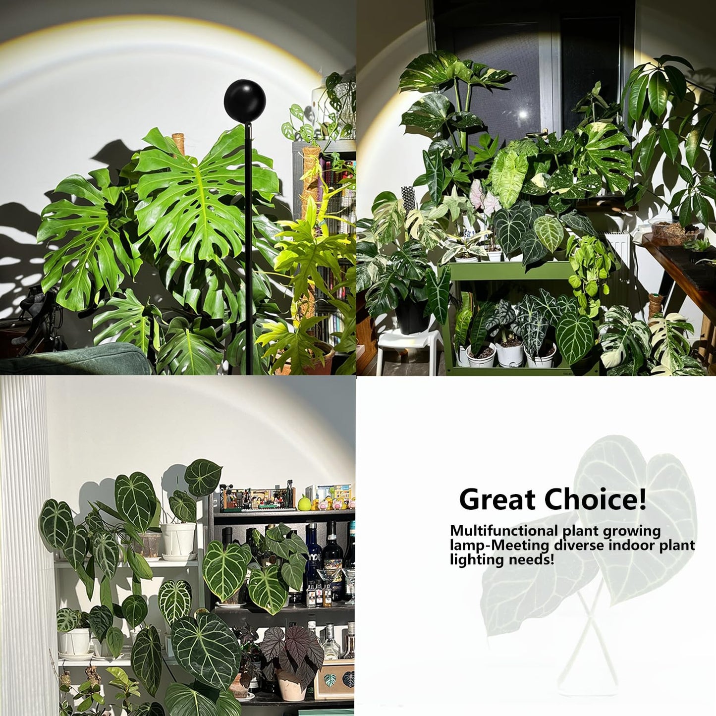 LYCereal Standing Grow Light with Timer 4/8/12H, 20W Full Spectrum Vertical Grow Lights for Indoor Plant Growing, Wide Coverage, 5.24FT to 6.88FT Height Adjustable, Ideal for Large Tall Plants