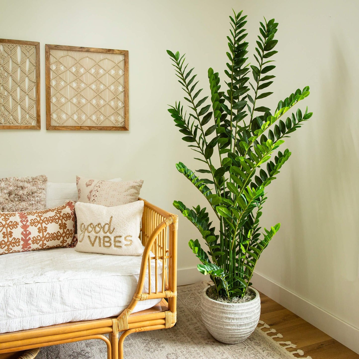 Nearly Natural 6ft Artificial Zamioculcas Plant - Realistic Faux Plant for Home Decor - Premium Materials - Bendable Branches - Year-Round Greenery - Nursery Planter Included
