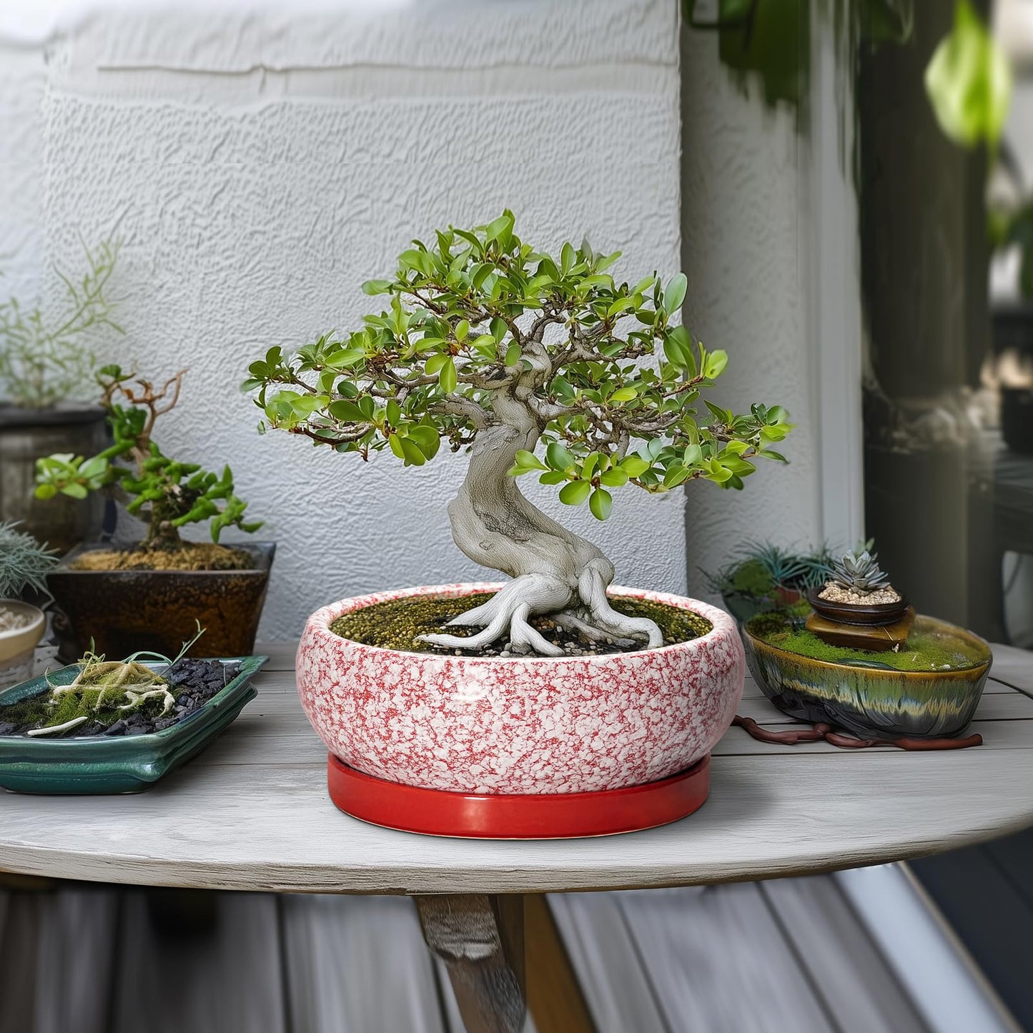 EPFamily Bonsai Pots 10 Inch - Ceramic Succulent Planters for Indoor Plants Outdoor, Succulent Pots with Drainage Hole and Tray, Round Shallow Planter, Bonsai Planter, Home Decor, Gardening Gift, Red