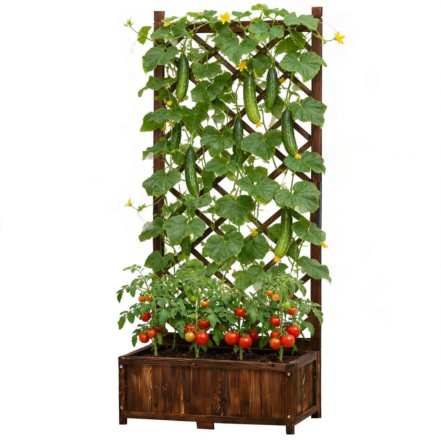 Anraja Raised Garden Bed with Trellis Wooden Planter Box Outdoor Wood Compact Privacy Screen for Climbing Plant Planting Flower Patio Tomato Vegetable Herb Balcony Porch 29.5" L x 17.0" W x 67.0" H