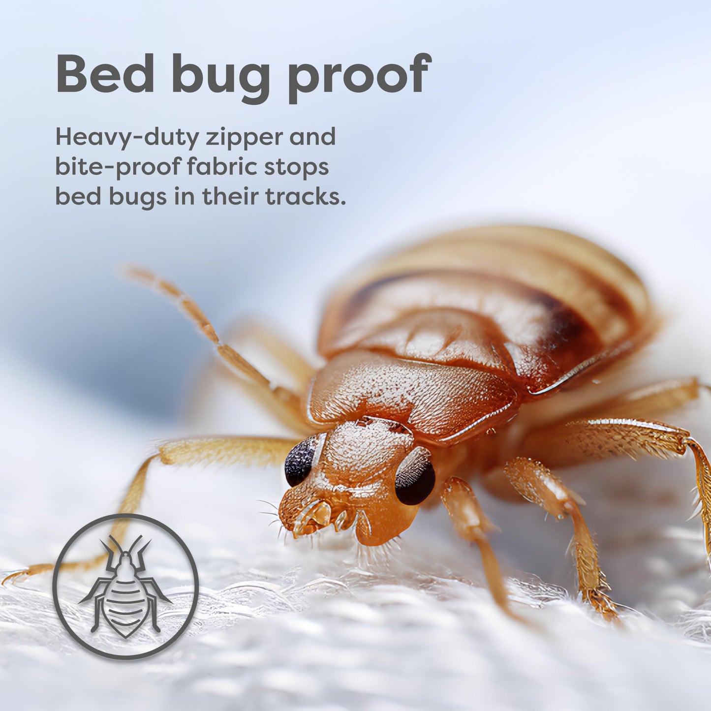HOSPITOLOGY PRODUCTS Zippered Mattress Encasement - Sleep Defense System - King - Waterproof - Stretchable - Ultra Low Profile 6" Depth - 78" W x 80" L
