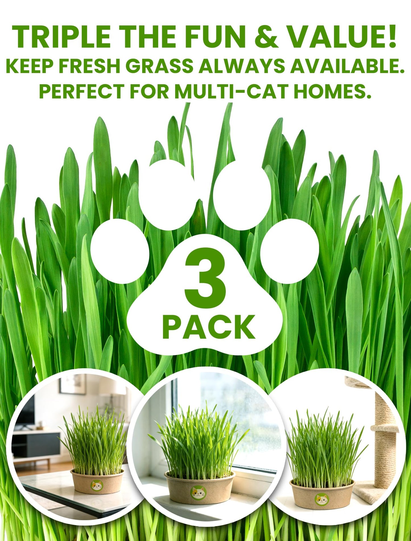 Cat Grass Kit for Indoor Cats, 3 Pack Fast Growing Cat Grass Kit with Eco-Friendly Biodegradable Pots, Soil & Wheatgrass Seeds, Grows in 3-7 Days with High Germination Rate