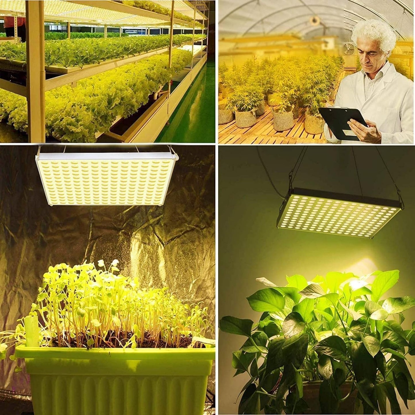 LED Grow Light for Indoor Plants Full Spectrum Plant Light for Seedling, Hydroponic, Greenhouse, Succulents, Flower