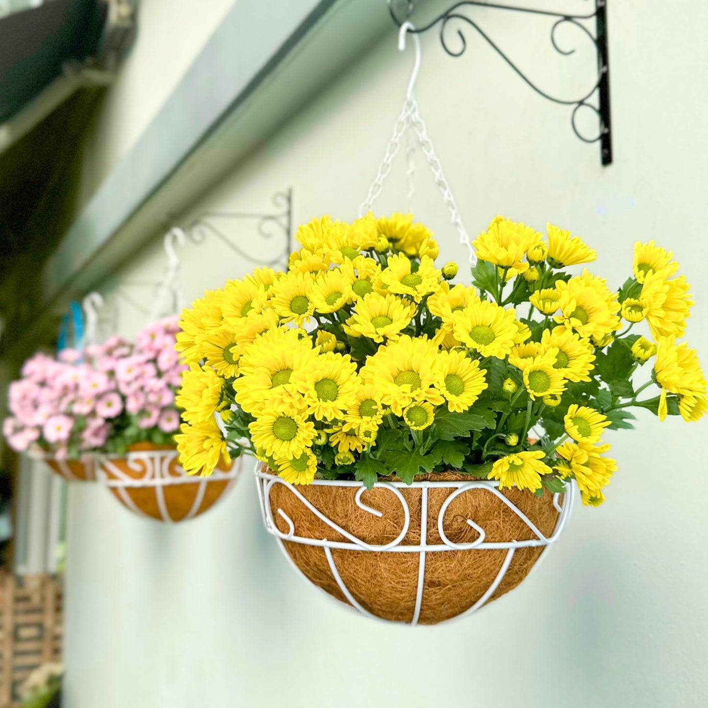 LaLaGreen Hanging Planter for Outdoor Plants (2 Pack, 12 Inch) White Hanging Baskets with Coco Liner, Metal Wire Flower Basket Pots with Hook Hanger Balcony Porch Farmhouse Country Style Garden Decor