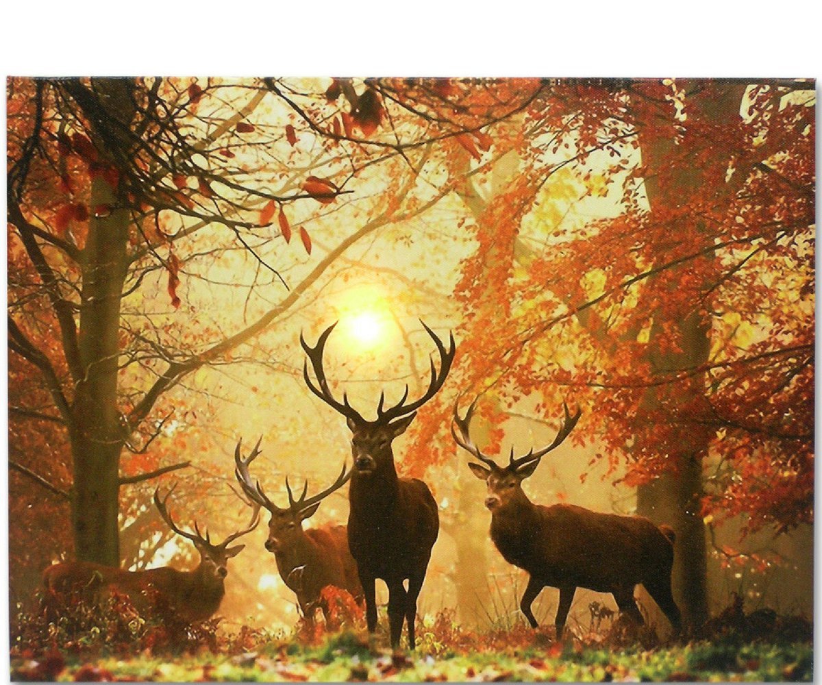 BANBERRY DESIGNS LED Wall Art - Big Buck Lighted Canvas Print - White Tail Bucks in Forest - Wildlife Wall Art - LED Light Up Deer Picture - Measures 15.75" W X 11.75" H