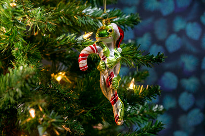 Party Rock | Lizard on Candycane Glass Ornament | X-Mas Collection