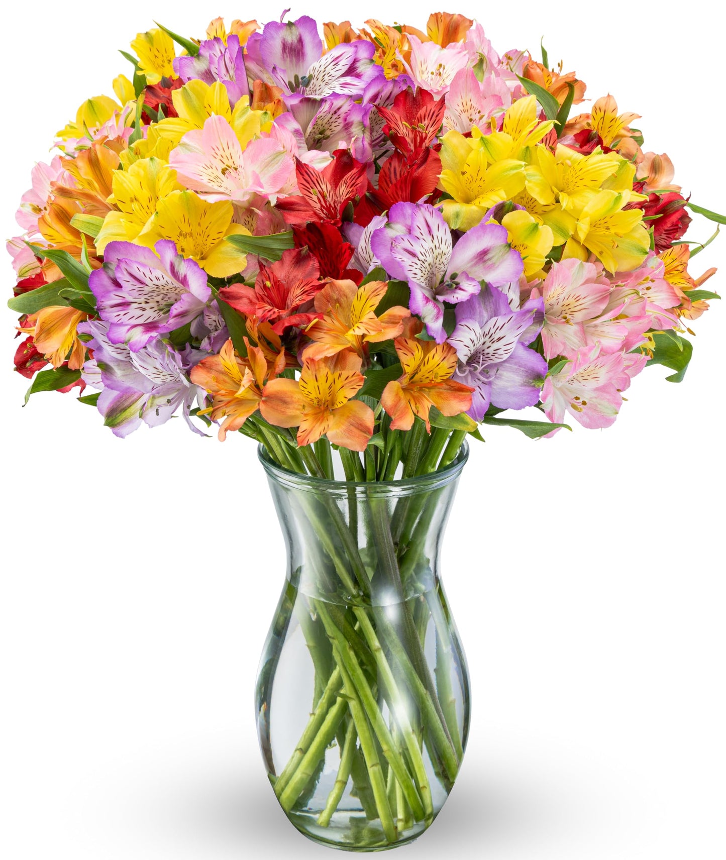 Benchmark Bouquets - Alstroemeria Fresh Flower Bouquet - Mothers Day Flowers for Delivery - Assorted Peruvian Lilies in a Vase - Birthday Flowers for Women - Glass Vase Included (20 Stems)