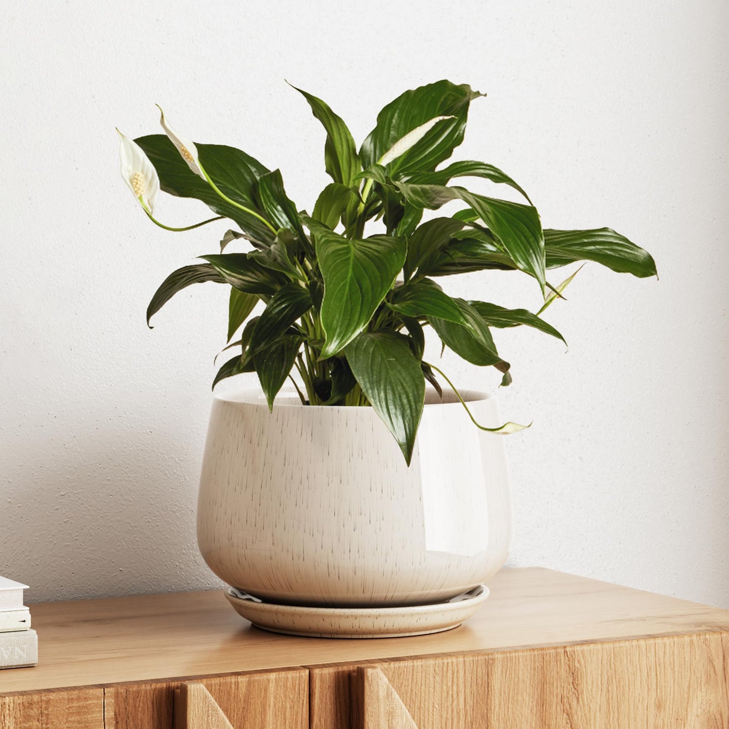 LE TAUCI Ceramic Planter, 10 Inch Plant Pot with Drainage Hole & Saucer – Durable Indoor Planter for Modern Home Decor, Reactive Glaze Beige