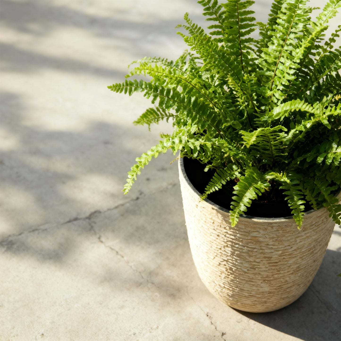Worth 9 Gallon Tall Round Planters Set of 2-14" Dia x 21" H Stone Finish Flower Pots Indoor Decorative Container Garden Patio Unbreakable Beige