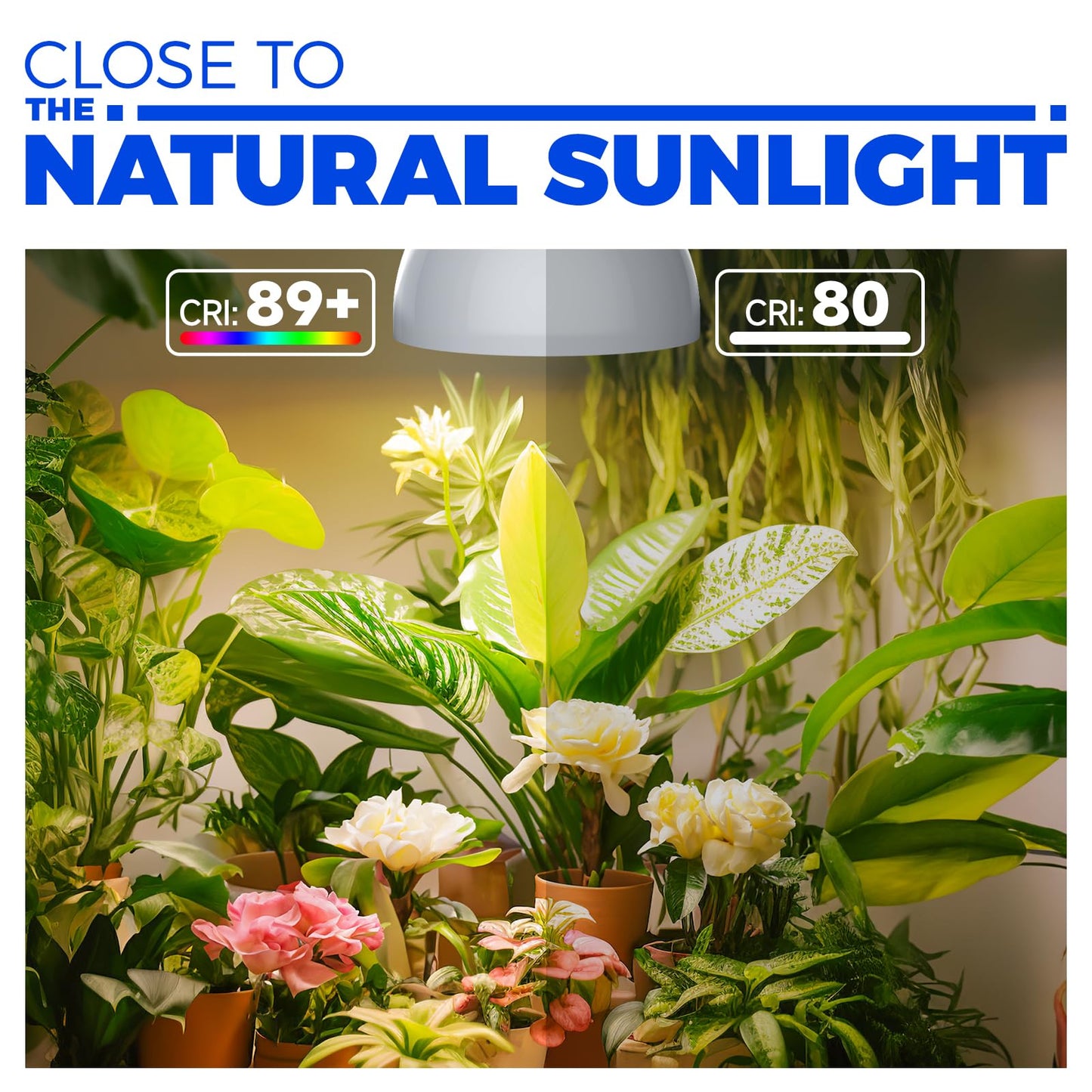 Barrina Hanging Grow Lights for Indoor Plants, 25W Full Spectrum, with Timer and 16.4FT Power Cord, Pendant Plant Lights for Indoor Growing, Large Tall Plant, Garden, Flowers, Greenhouse