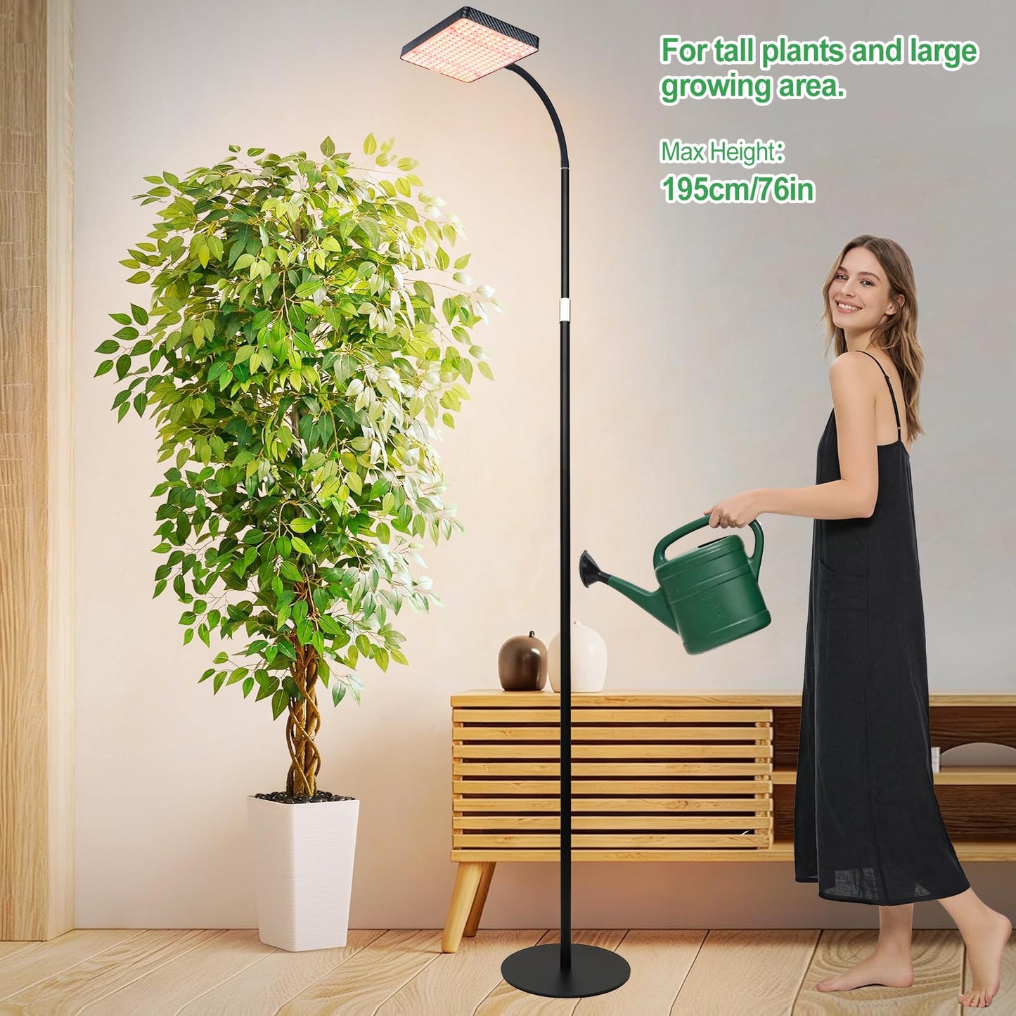 FRGROW 2026 Full Spectrum Floor Lamp Grow Light, 25 Watt Bright Grow Lights for Indoor Tall Plants, Bonsai Tree, Auto on/Off Daily Timer (4/8/12/16/20H), Adjustable Stand 24"-78"