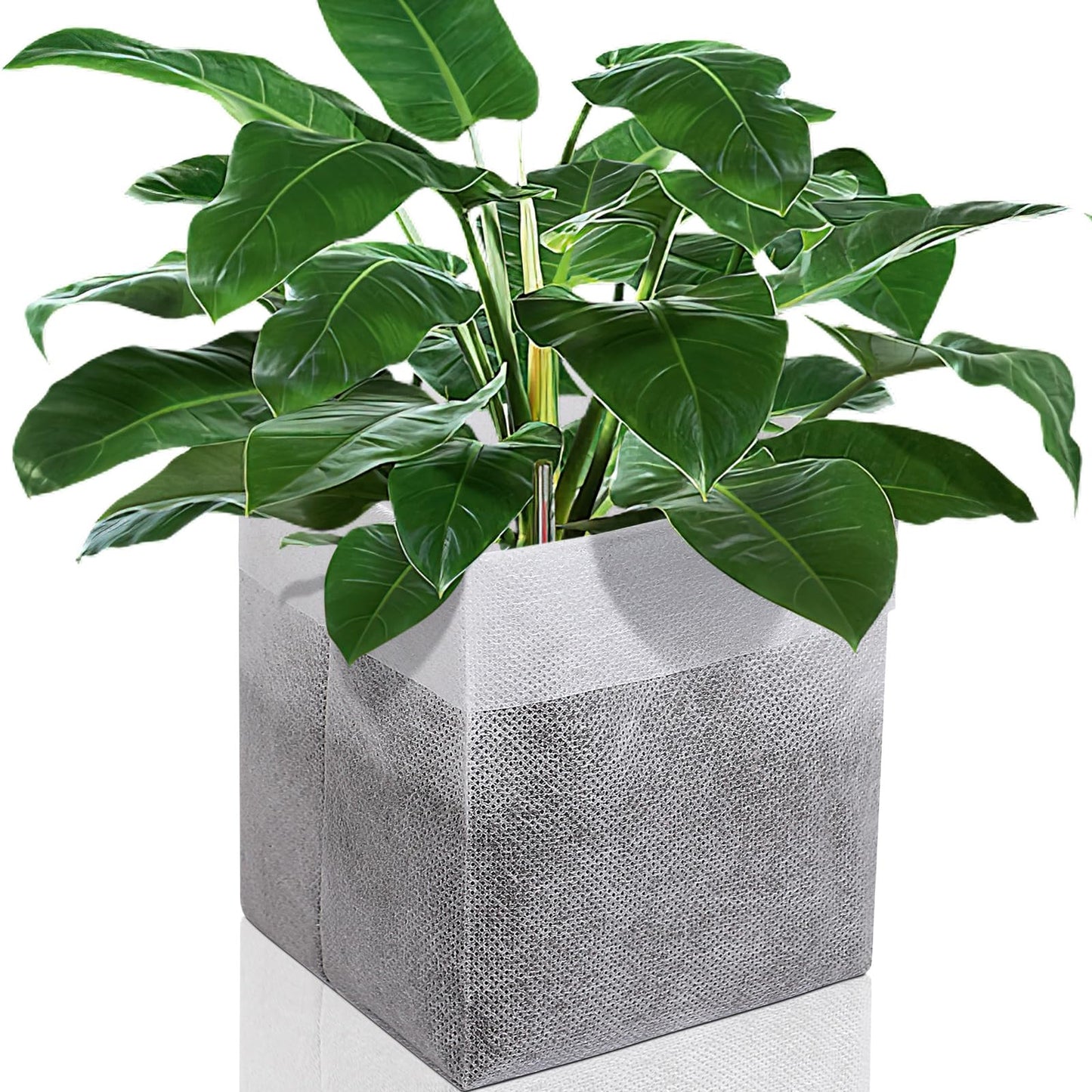Augshy Nursery Growing Bags, 200Pcs Plant Grow Bag Non-Woven Fabric Seedling Pots Seedling Bag for Planting Seed Starting Pots Pouches for Vegetable Flower Fruit Saplings Tree (9" x 9")