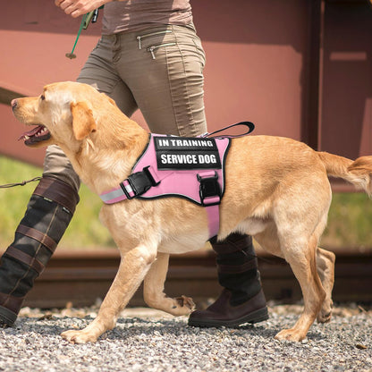 MOOGROU Service Dog Vest Harness and Leash Set+10 Patches,No Pull&Easy Walk Reflective Dog Harness with Soft Padded Handle for Training/Everyday,Fit Small/Medium/Large/Extra-Large Dogs(Pink S)